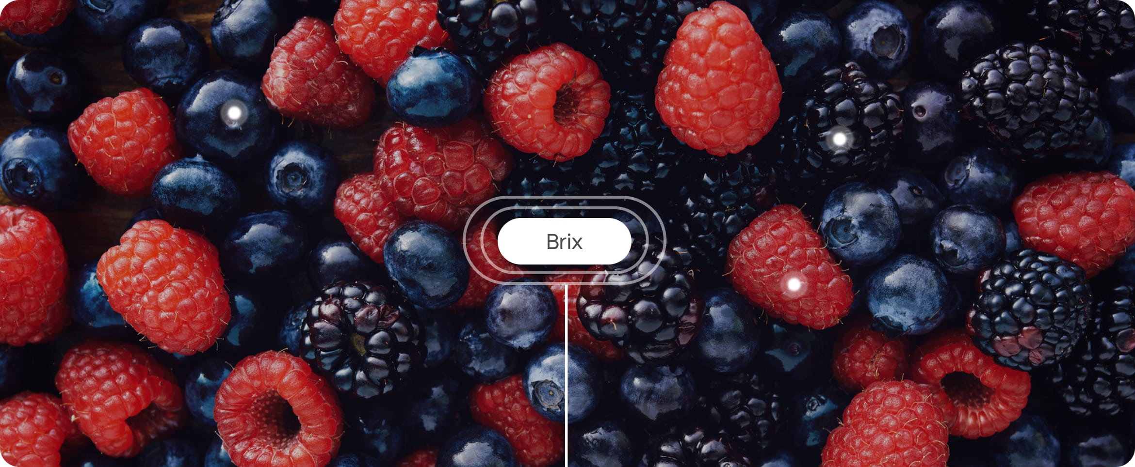 Close-up of assorted berries including raspberries, blackberries, and blueberries, with a label reading "Brix" in the center.