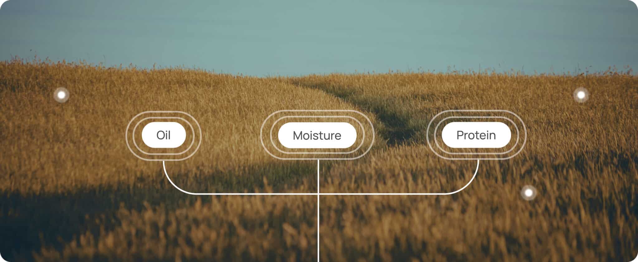 Field of wheat with labels: "Oil," "Moisture," and "Protein" connected to specific points in the field.