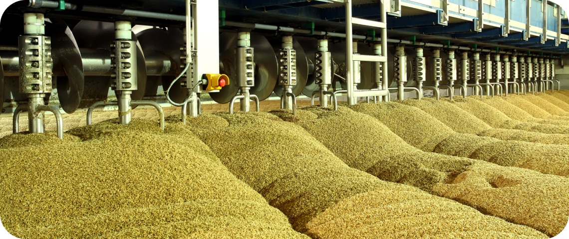 Industrial machinery processing heaps of grain inside a facility, with pipes and levers visible above the grain piles.